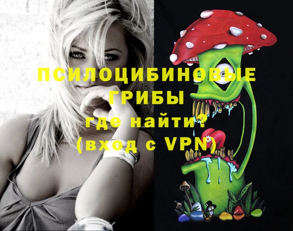 PSILOCYBIN Тавда