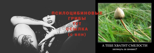 PSILOCYBIN Тавда